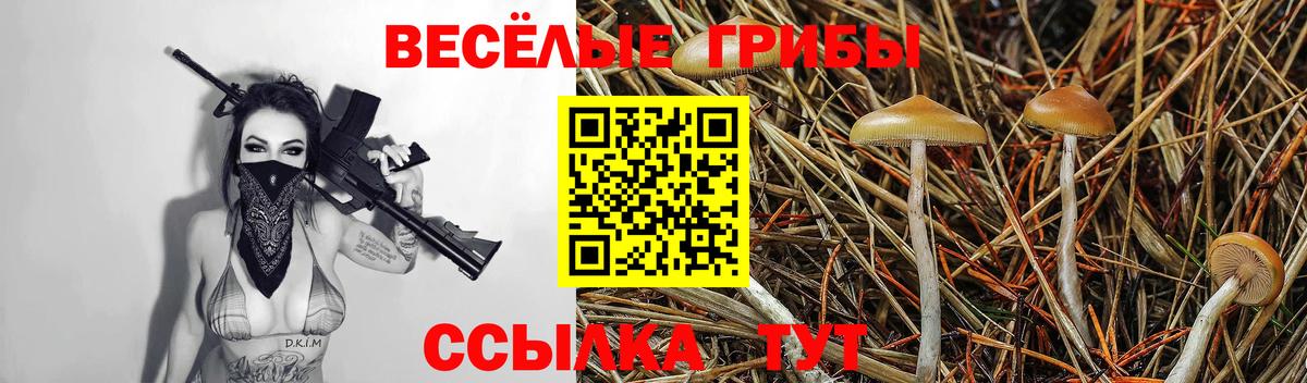 Семёнов  Галлюциногенные грибы ЛСД  Вход с VPN 